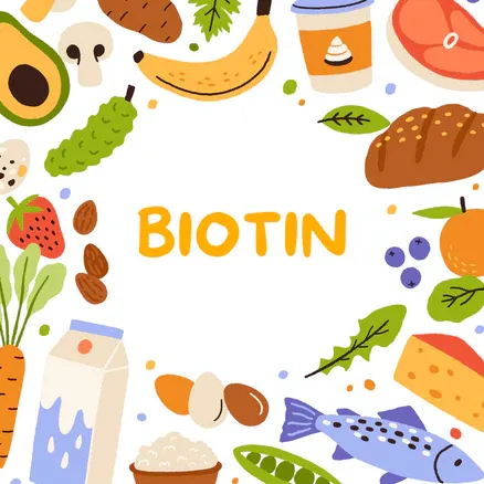 Biotin (Vitamin B7): "Siêu Sao" Cho Sự Phát Triển Tóc