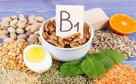 Vitamin B1 (Thiamine): "Chìa Khóa" Chuyển Hóa Năng Lượng