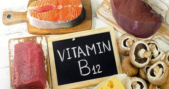"Kho Tàng" Vitamin B12 Từ Thực Phẩm