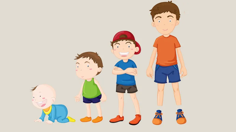 Vitamin Hỗ Trợ Phát Triển Chiều Cao
