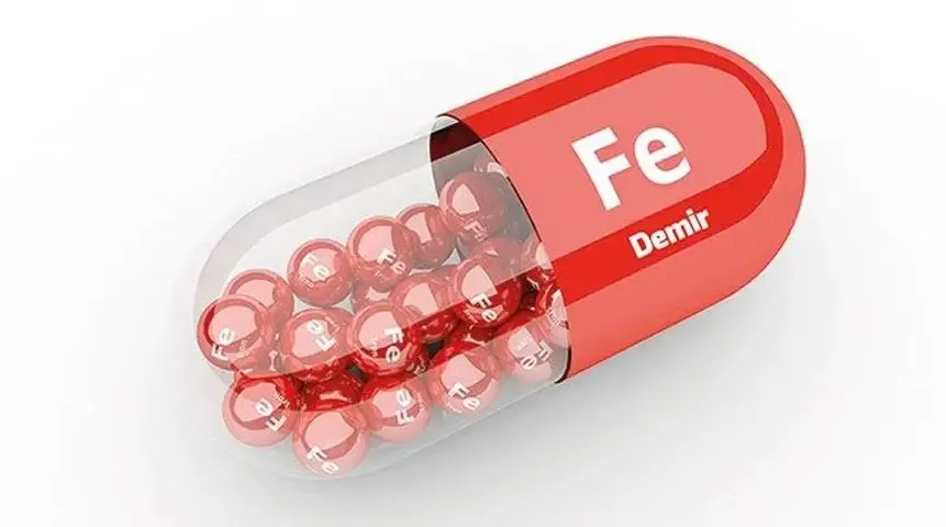 Sắt: "Vận Chuyển" Oxy và Năng Lượng