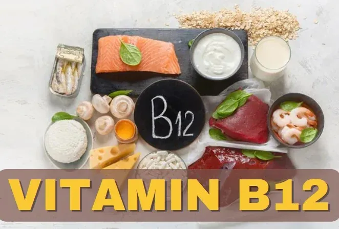 Vitamin B12 (Cobalamin): "Người Hùng" Của Hệ Thần Kinh