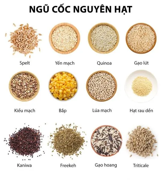 Kẽm (Zinc): "Kiến Trúc Sư" Của Hệ Miễn Dịch