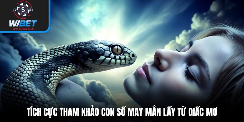 Tích cực tham khảo con số may mắn lấy từ giấc mơ