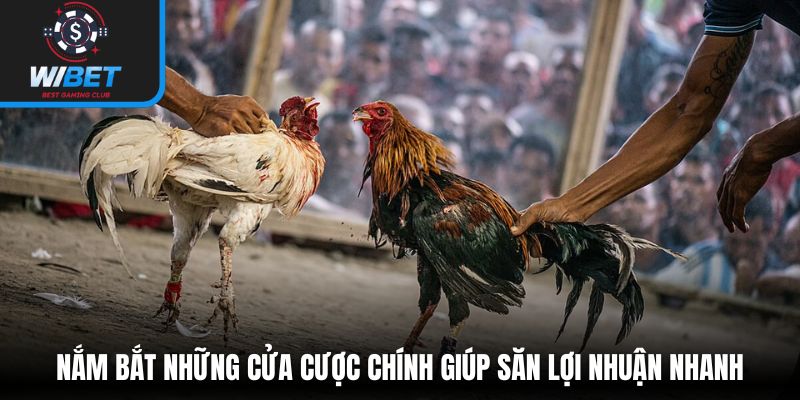 Nắm bắt những cửa cược chính giúp săn lợi nhuận nhanh