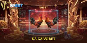Đá Gà WIBET - Live Full HD Không Gián Đoạn Từ Trường Gà