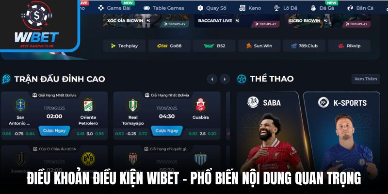 Điều khoản điều kiện