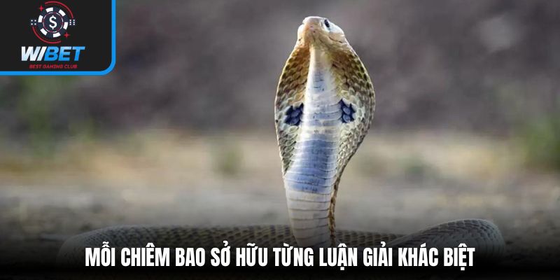 Mỗi chiêm bao sở hữu từng luận giải khác biệt