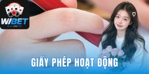 Giấy Phép Hoạt Động