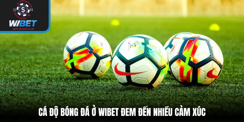 Cá độ bóng đá ở WIBET đem đến nhiều cảm xúc