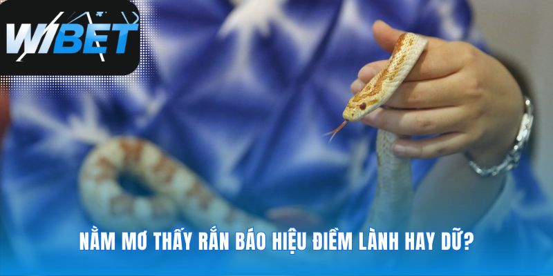 Giải mã những tín hiệu từ giấc Mơ Thấy Rắn