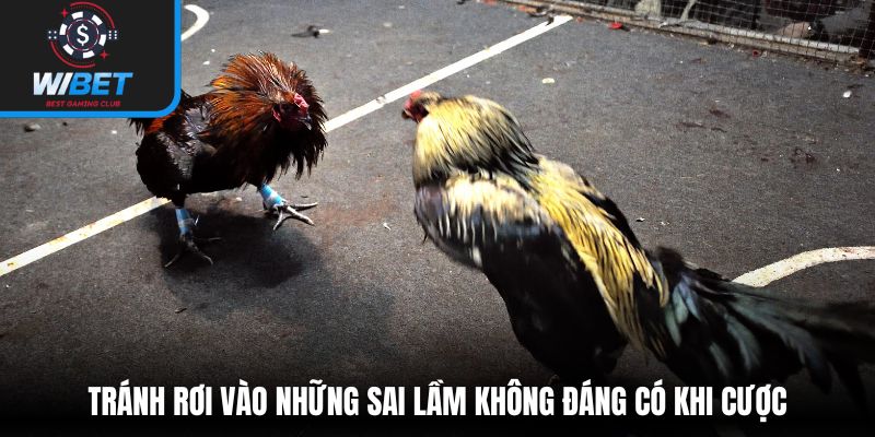 Tránh rơi vào những sai lầm không đáng có khi cược