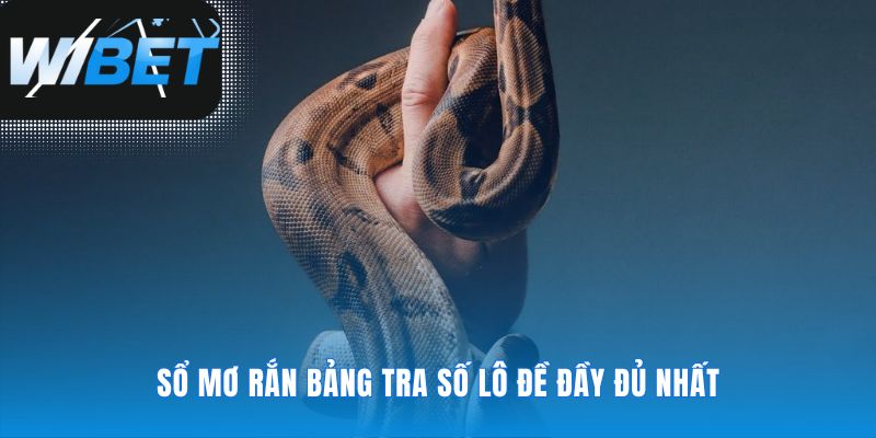 Chuyển hóa điềm báo trong mộng thành con số may mắn