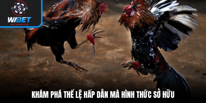 Khám phá thể lệ hấp dẫn mà hình thức sở hữu