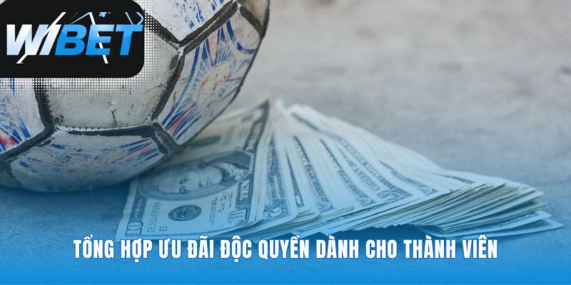 Các khuyến mãi độc quyền chỉ có tại WIBET